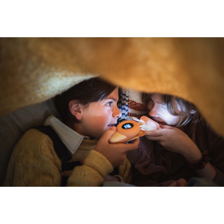 ZOO WALKIE RABBIT/BEAR - THE ZOO FAMILY