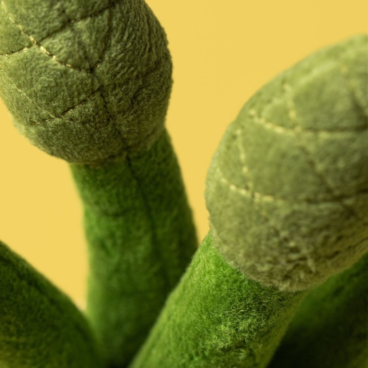 AMUSEABLE ASPARAGUS - JELLYCAT