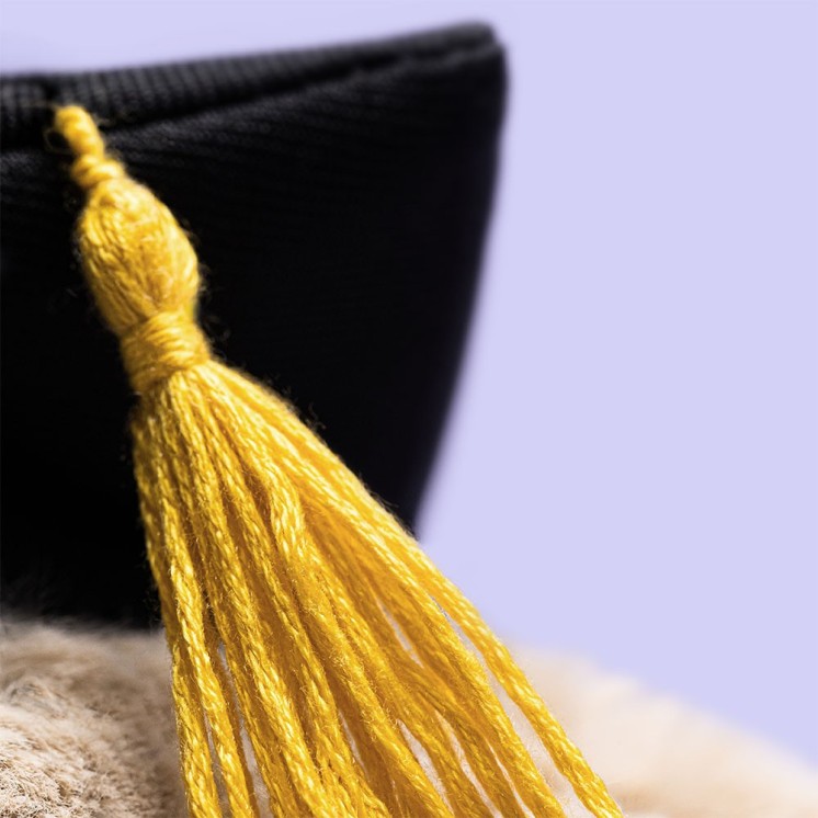 BASHFUL BUNNY GRADUATION OUTFIT - JELLYCAT