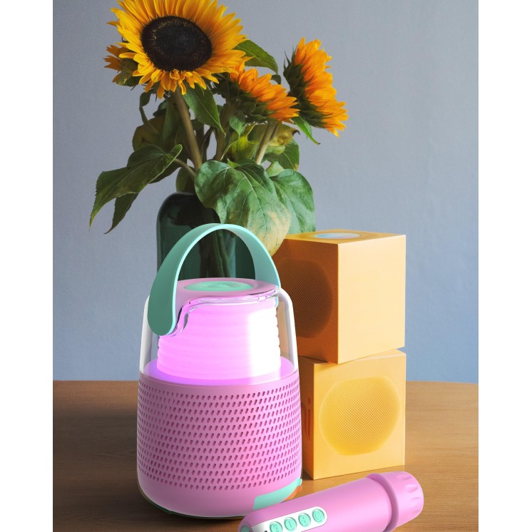 ENCEINTE RETRO KS-80 ROSE - MOB