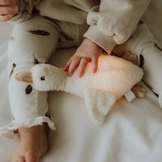 Peluche Lumineuse Bébé – Veilleuse Rechargeable & Douce | Little Simone