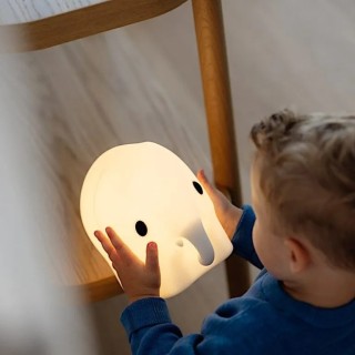 ELEPHANT FIRST LIGHT - MR MARIA