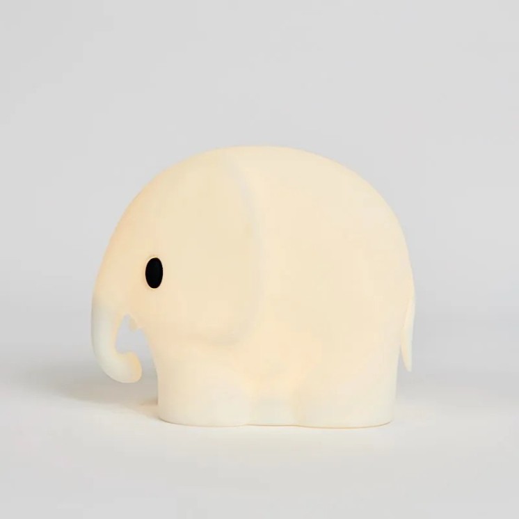 ELEPHANT FIRST LIGHT - MR MARIA