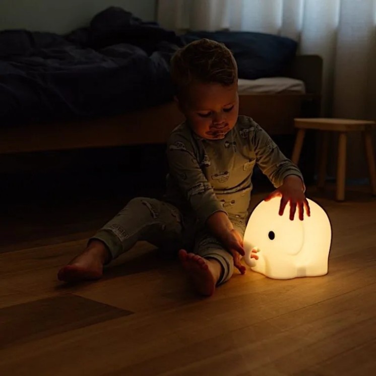 ELEPHANT FIRST LIGHT - MR MARIA